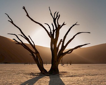 Deadvlei Namibië
