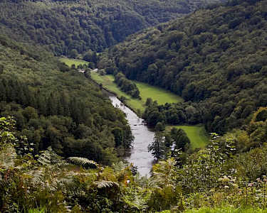 Landal Hillview Resort Grandvoir natuur