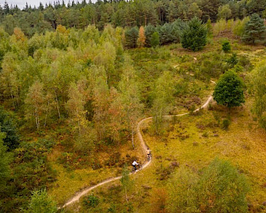 Landal Soof aan de Rijn bos