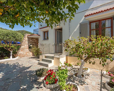 Huize Dina Ithaki groene tuin